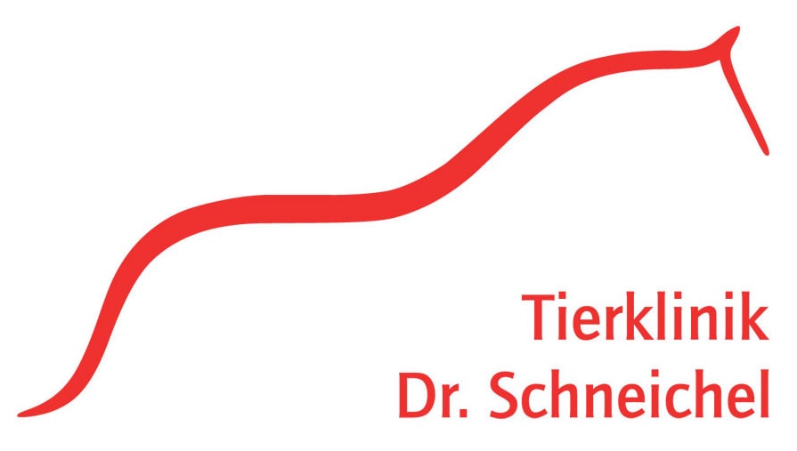 Logo-Scheichel